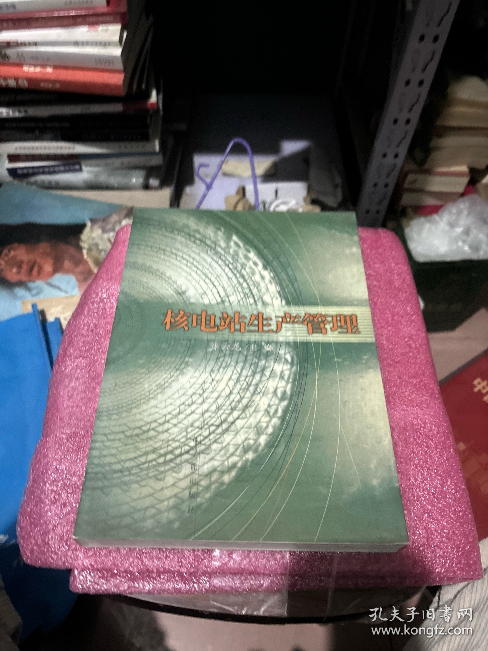 核电站生产管理