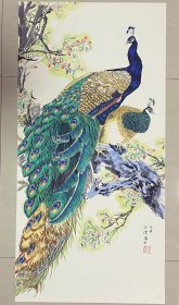 孔雀，一对孔雀，雀之恋，小写意画法，中国女画家协会王津老师的纯手绘亲笔所画，假一赔万，您放心入手！实际画的比照片拍出来要漂亮的多，笔法苍劲有力，孔雀的刻画惟妙惟肖，构图非常漂亮！尺寸1米×50公分，三尺整张的！