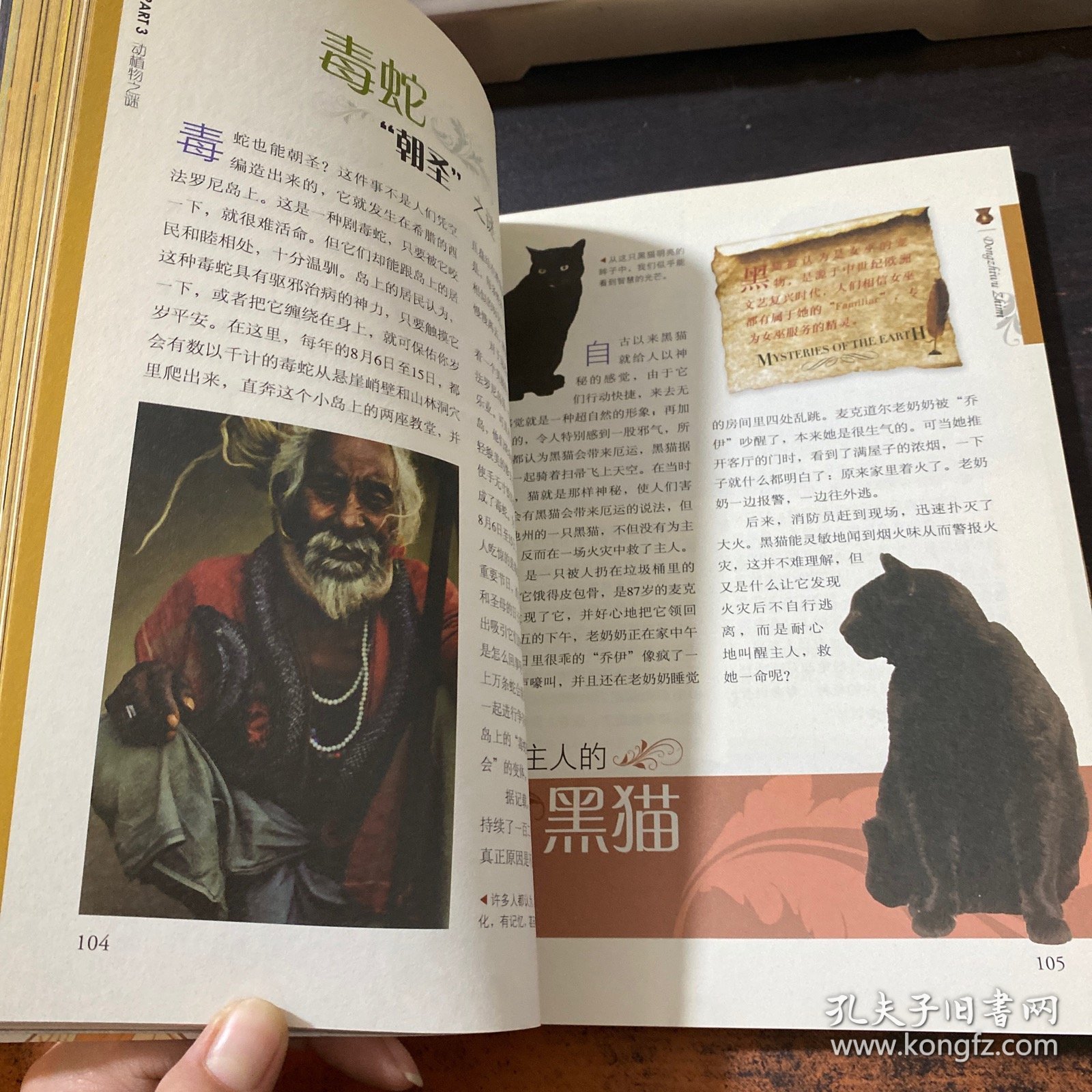 梦想之旅：国家地理100地球之谜