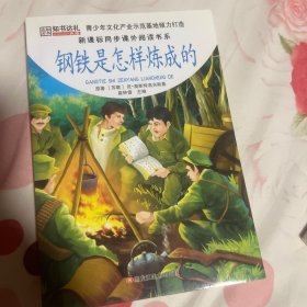 新课标同步课外阅读书系10本.钢铁.海底.鲁滨逊.爱的教育.汤姆.格列.光明.昆虫.木偶