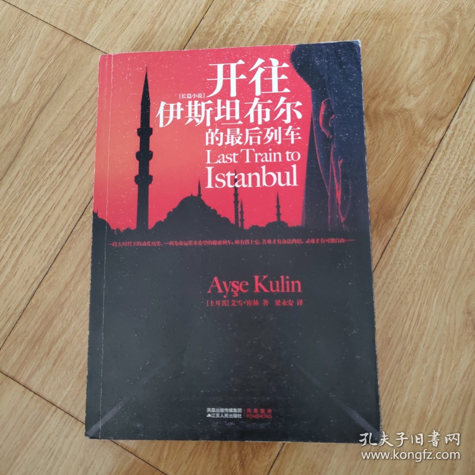 来往伊斯坦布尔的最后列车