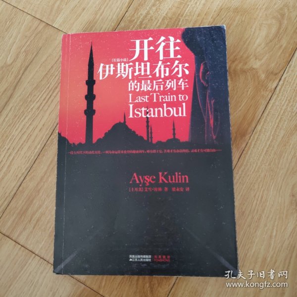 来往伊斯坦布尔的最后列车