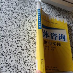 团体咨询理论与实践团体咨询师职业资格培训教材