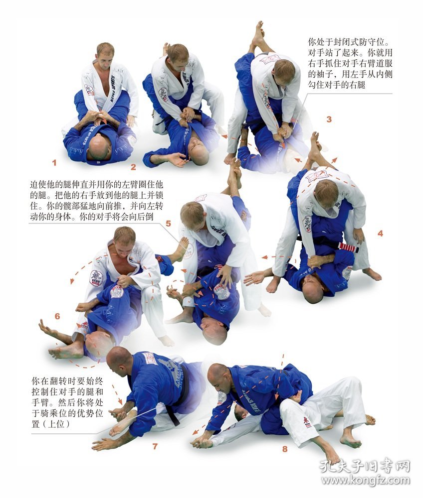 巴西柔术技术图解