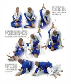 巴西柔术技术图解