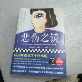 悲伤之镜（2020法国年度文学十佳小说。在巨大的崩溃中，我们的脆弱与坚强都远超自己的想象。）