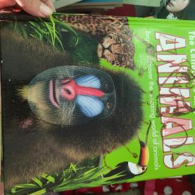the children encyclopedia of animals  begin to discover the amazing world of animals