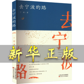 去宁波的路 丁彬 9787530685075 百花文艺出版社