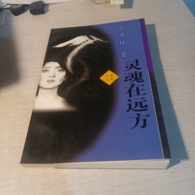 灵魂在远方