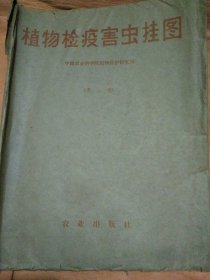 1975年植物检疫害虫挂图