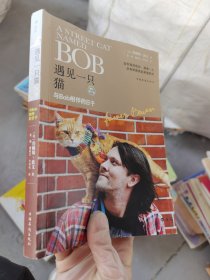 遇见一只猫:与Bob相伴的日子