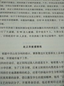 济南市抗战全景实录:中册 不屈的济南.