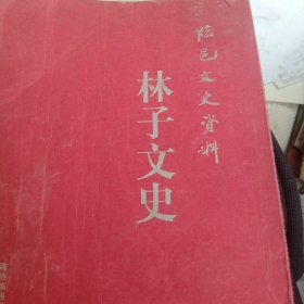 临邑文史资料 林子文史