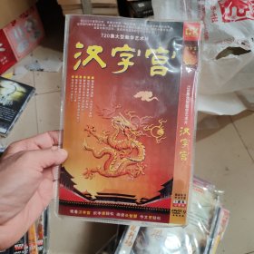 汉字宫 DVD