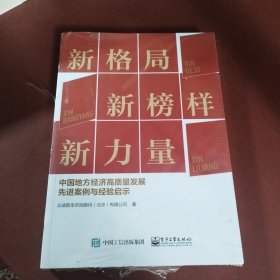 新格局 新榜样 新力量——中国地方经济高质量发展先进案例与经验启示