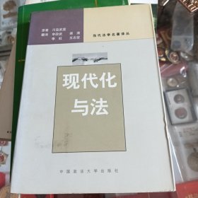 现代化与法