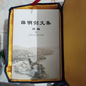 薛明剑文集:续编