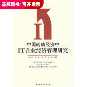 中国转轨经济中IT企业经济管理研究