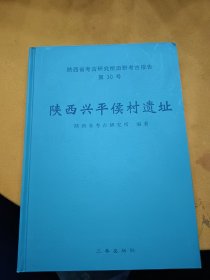 陕西兴平侯村遗址