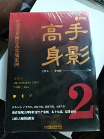 高手身影2：中国商业原生态实战案例