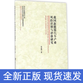我國新能源汽車產(chǎn)業(yè)風(fēng)險識別與評價研究