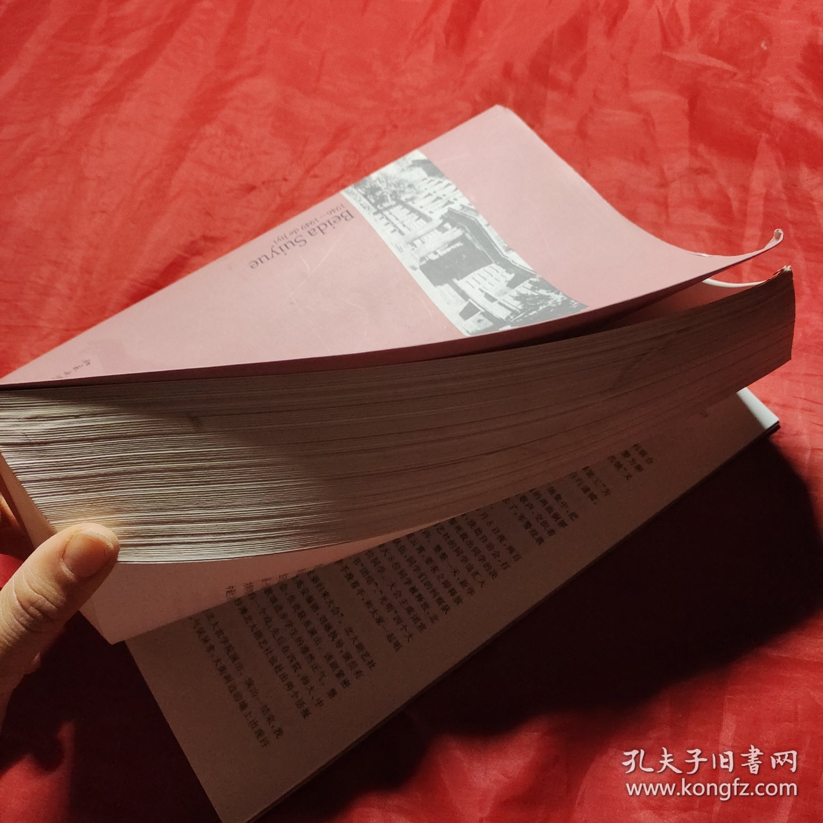 北大岁月：1946-1949的记忆