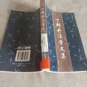 丁邦开法学文集