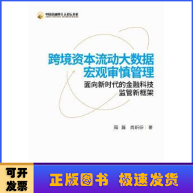 跨境资本流动大数据宏观审慎管理：面向新时代的金融科技监管新框架