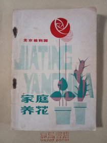 《家庭养花》