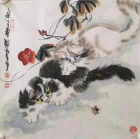 杨秋生国画写意猫小品