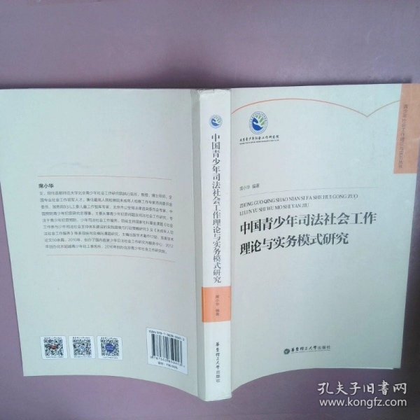 中国青少年司法社会工作理论与实务模式研究