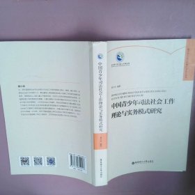 中国青少年司法社会工作理论与实务模式研究