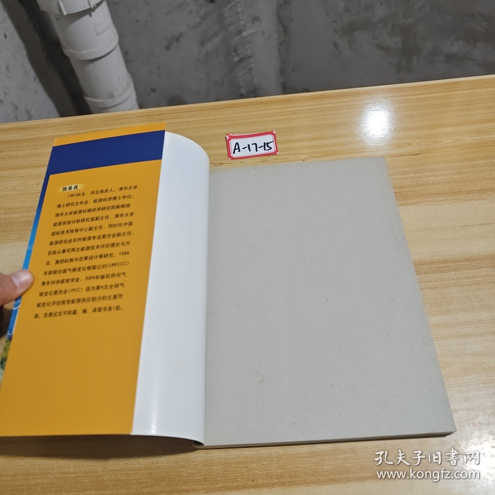 风能开发利用——21世纪可持续能源丛书