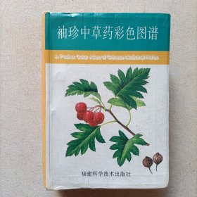 袖珍中草药彩色图谱