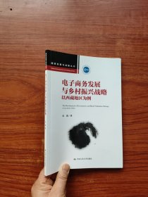 电子商务发展与乡村振兴战略：以西藏地区为例（国家发展与战略丛书）