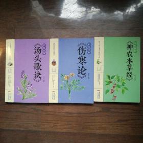 白話彩圖典藏版 彩色圖解《湯頭歌訣》《傷寒論》《神農(nóng)本草經(jīng)》（3冊(cè)合售）