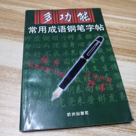 多功能常用成语钢笔字帖