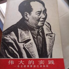 伟大的实践 毛主席视察浙江农科所（版画）