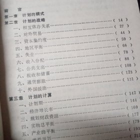 发展计划（经济政策的本质）