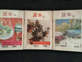 植物杂志 1987年1988年1989年合订本