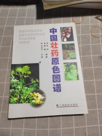 中国壮药原色图谱:[中英文本]