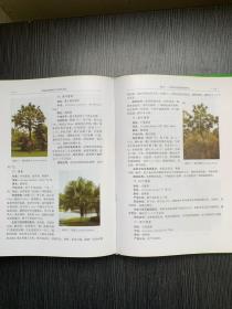 棕榈科植物研究与园林应用（精装本）