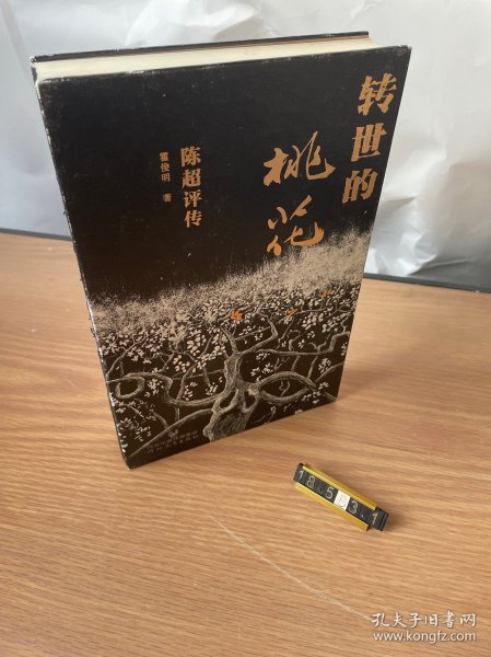 转世的桃花：陈超评传