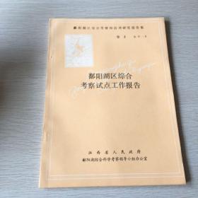 鄱阳湖区综合考察试点工作报告