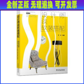 设计师谈软装搭配 李浪 中国电力出版社