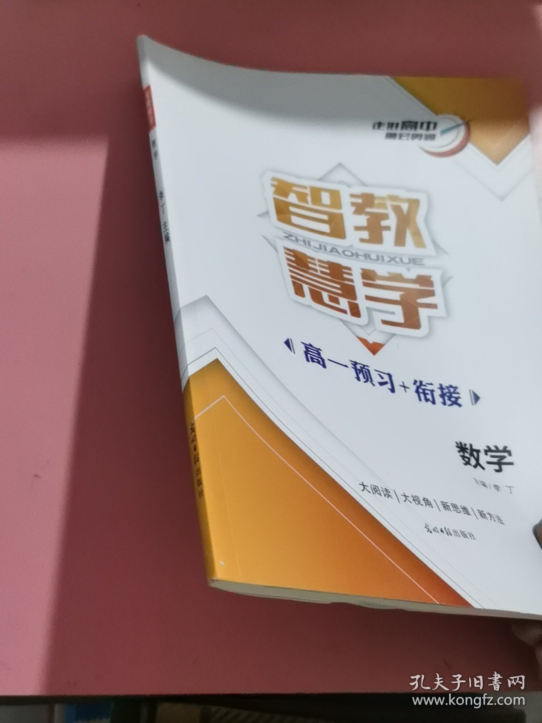 智教慧学 李丁主编 光明日报出版社 9787511296290