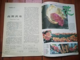 大众电影1991年第9期