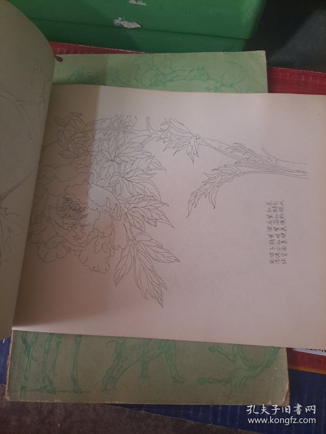 写生牡丹画谱