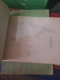 写生牡丹画谱