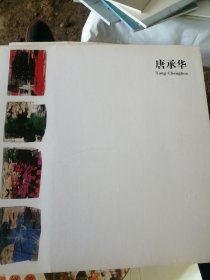 唐承华画册